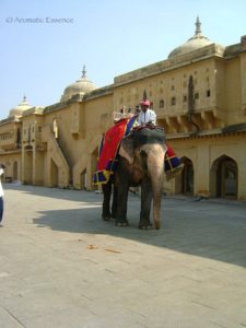 Amer Fort, Jaipur