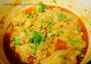 Dahi Chicken | Yogurt Marinated Chicken Curry
