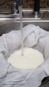 Kalakand | How To Make Kalakand | Indian Milk Cake