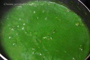 Palak Paneer | How To Make Palak Paneer | Indian Spinach & Cottage Cheese Curry