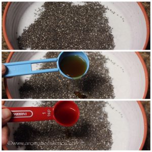 chia seed pudding plus 3 delicious variations