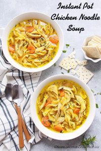 Instant Pot Chicken Noodle Soup Recipe