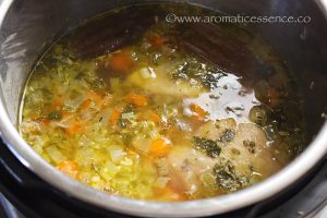 Instant Pot Chicken Noodle Soup Recipe