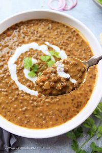 Instant Pot Lentil Curry Recipe | Vegan Brown Lentil Curry