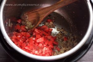 Instant Pot Lentil Curry Recipe | Vegan Brown Lentil Curry