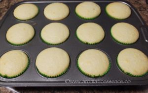 baked cupcakes out of the oven
