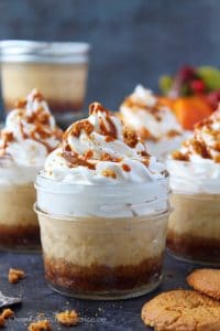 Instant pot pumpkin cheesecake.