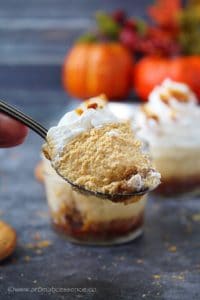 Scoop of pressure cooker pumpkin cheesecake.