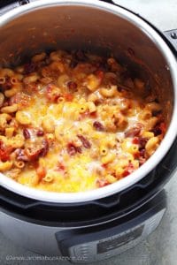 Close the lid and let it sit for 5 minutes so that the cheese melts.