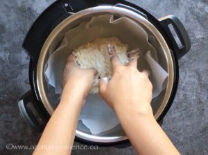 Transfer the shaggy dough to the IP.