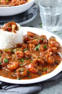 Close-up shot of crayfish etouffee in a white plate