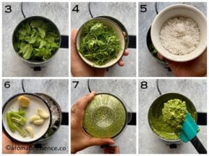 Preparation of mint paste